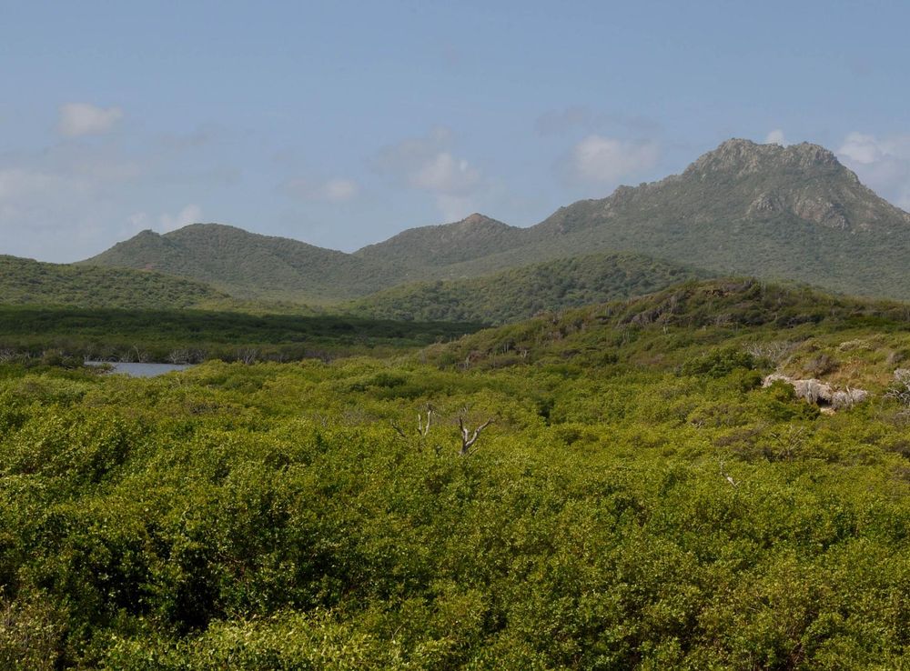 Bestand:MT. CHRISTOFFEL IN CHRISTOFFEL PARK.jpg - Wikipedia