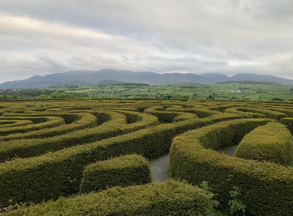 File:Castlewellan forest Park, peace maze.jpg - Wikimedia Commons