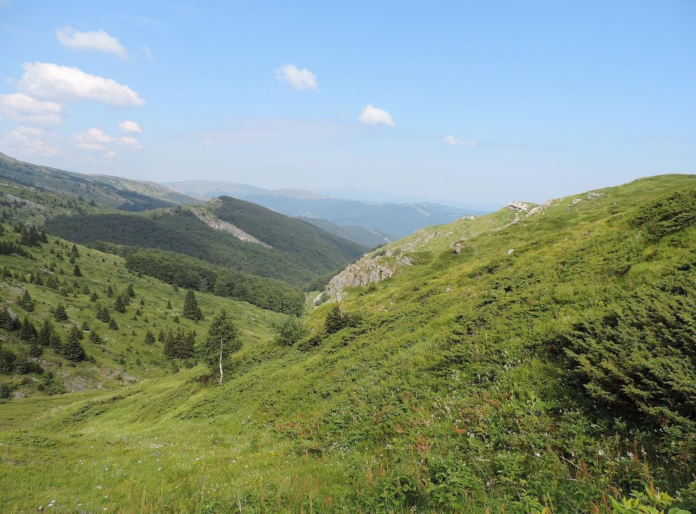 File:Central Balkan National Park 09.JPG - Wikimedia Commons