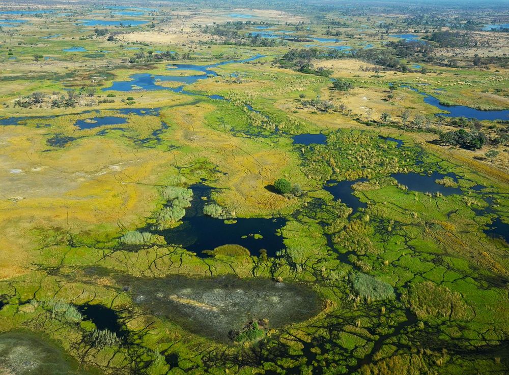 File:Okavango delta - Botswana - panoramio.jpg - Wikimedia Commons