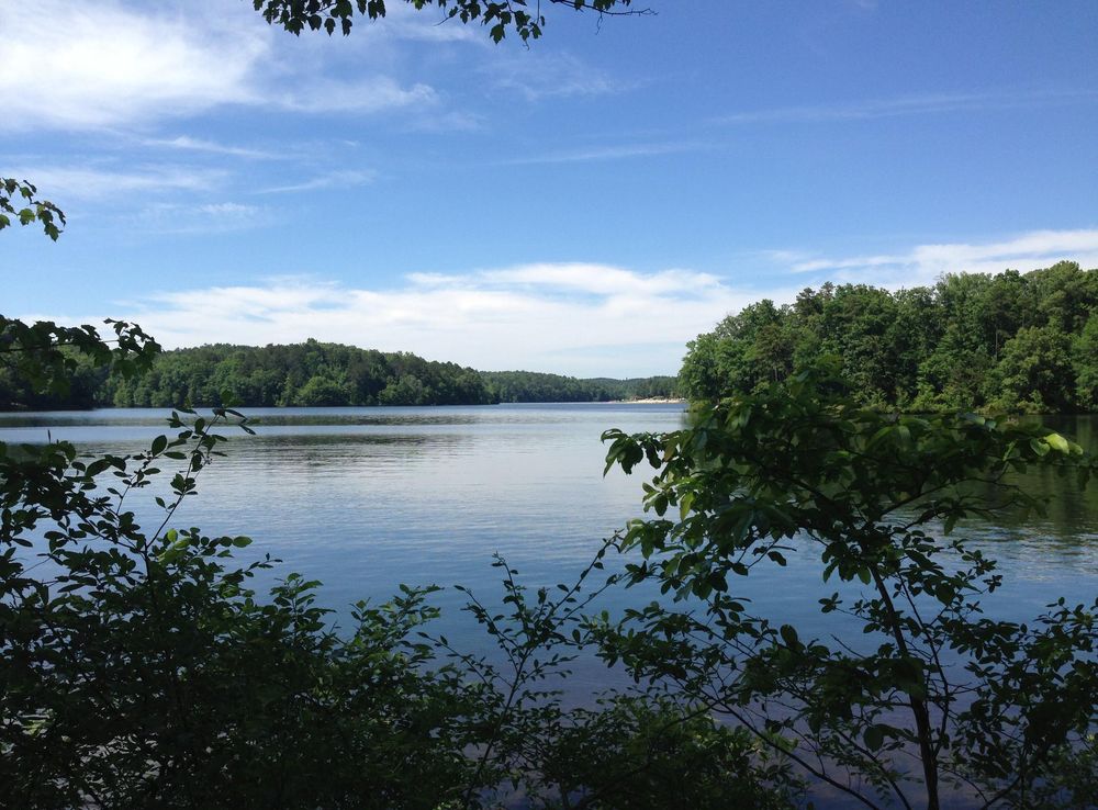 File:Lake Lurleen Tuscaloosa Alabama from lakeside trail.jpg - Wikimedia  Commons