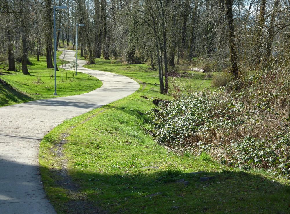 Free Images : tree, grass, hiking, trail, lawn, meadow, bike, walkway, walk,  park, garden, route, cycle, shrub, walking path, woodland, yard, trails,  paths, bicycle path, bikeway 3648x2736 - - 999581 - Free stock photos -  PxHere