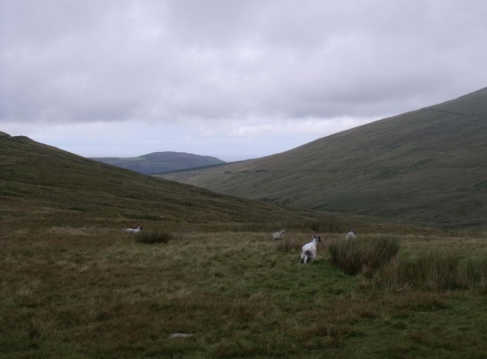 File:IOM Landscape of Snaefell Mountain by Malost.JPG - Wikimedia Commons