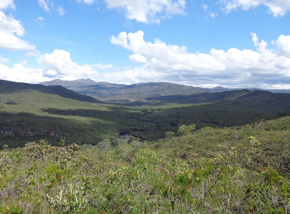 Ficheiro:Parque Estadual do Rio Preto - MG.JPG – Wikipédia, a enciclopédia  livre