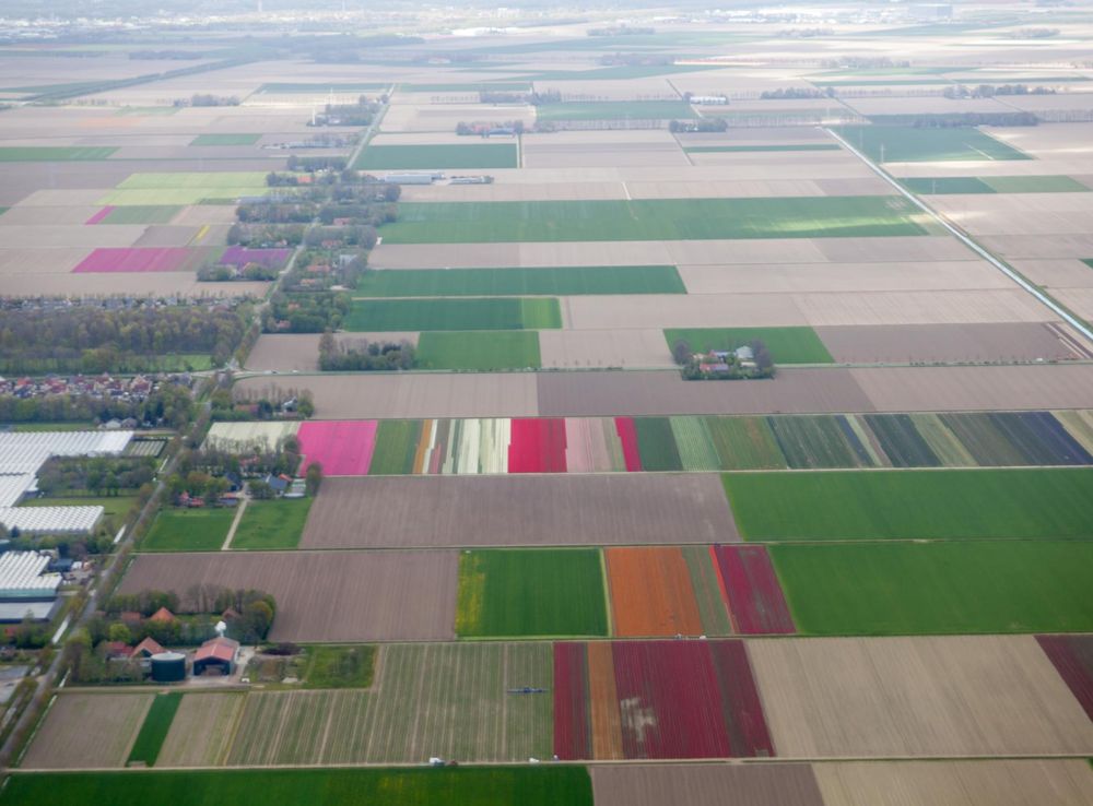 File:8307 Ens, Netherlands - panoramio (1).jpg - Wikimedia Commons