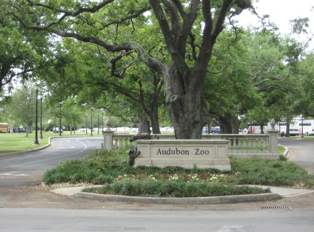 File:AudubonZooEntranceMagazineCubs.jpg - Wikimedia Commons