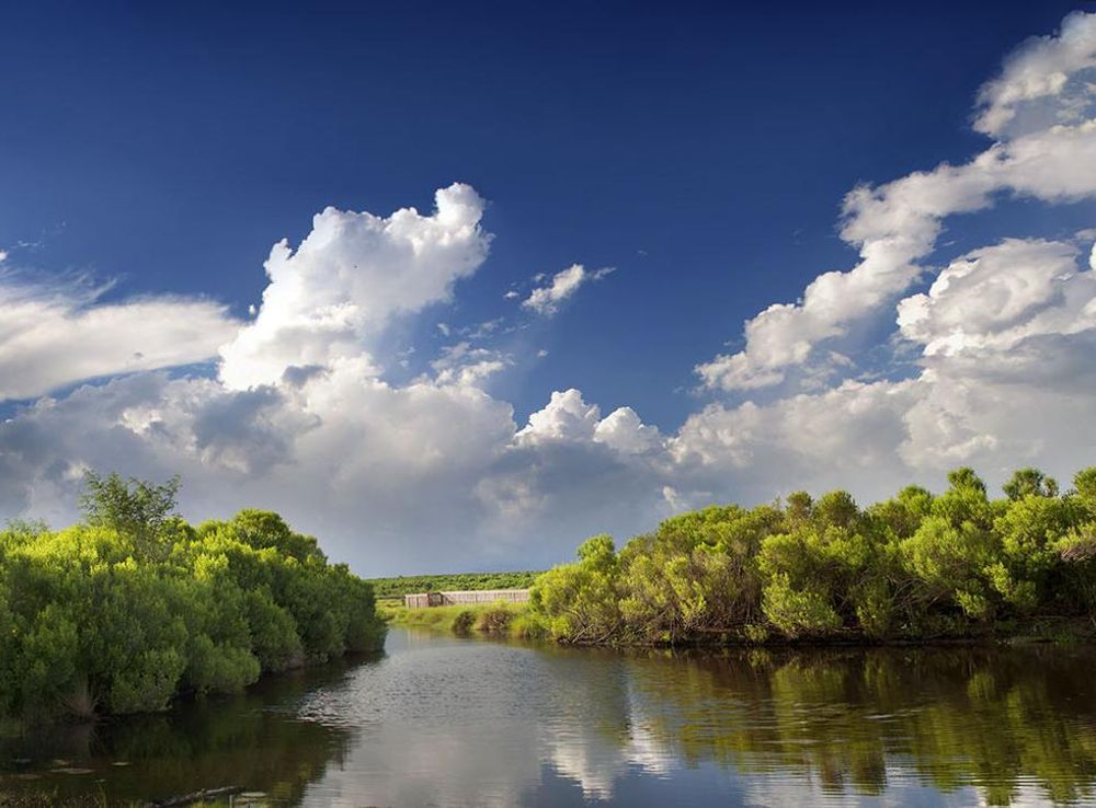 File:Bayou Sauvage New Orleans Louisiana (29566329).jpeg - Wikimedia Commons
