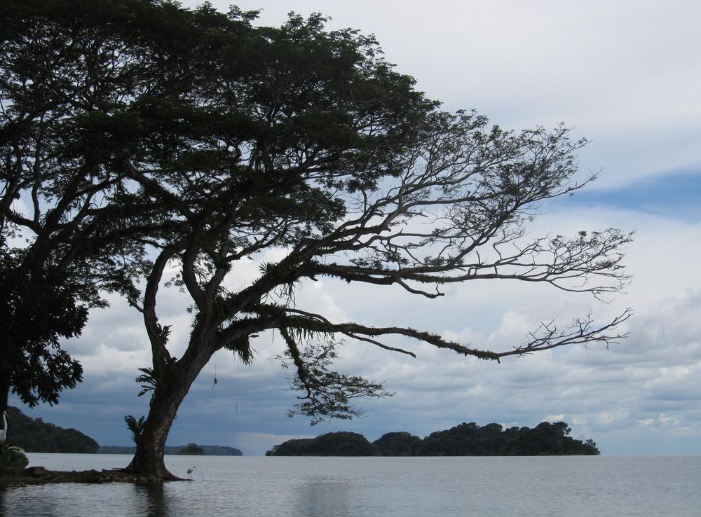 File:Nicaraguasee09.JPG - Wikimedia Commons