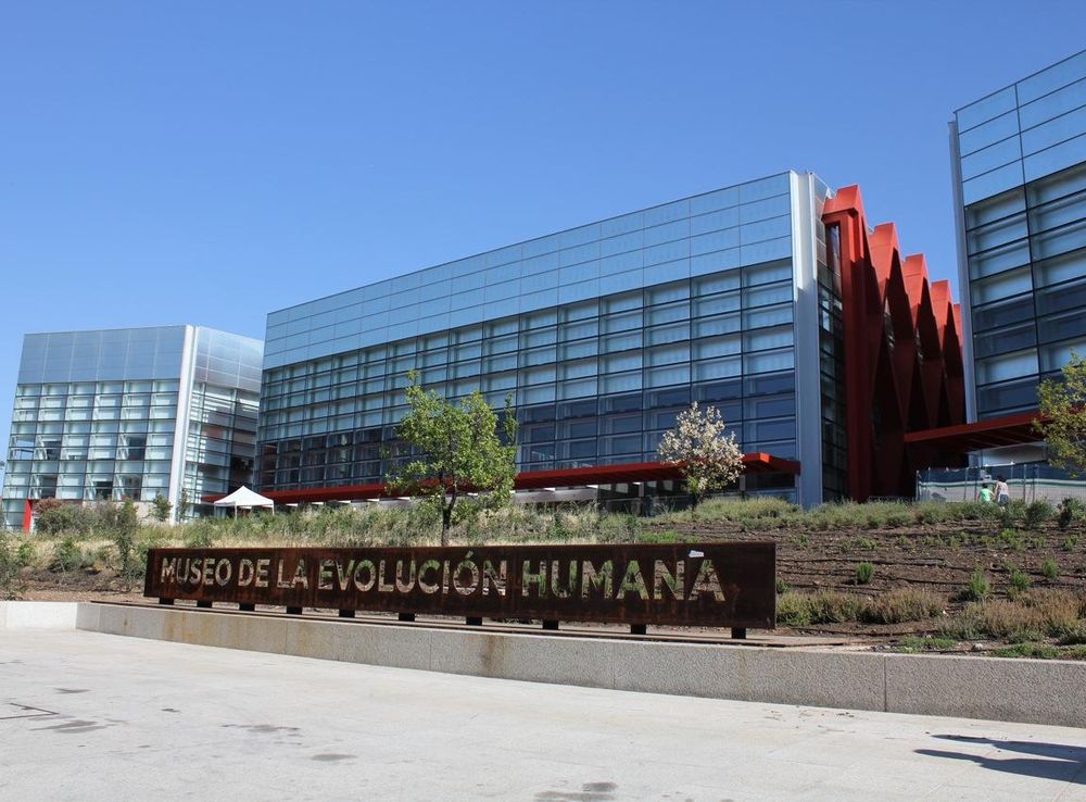 File:Human Evolution Museum.jpg - Wikimedia Commons