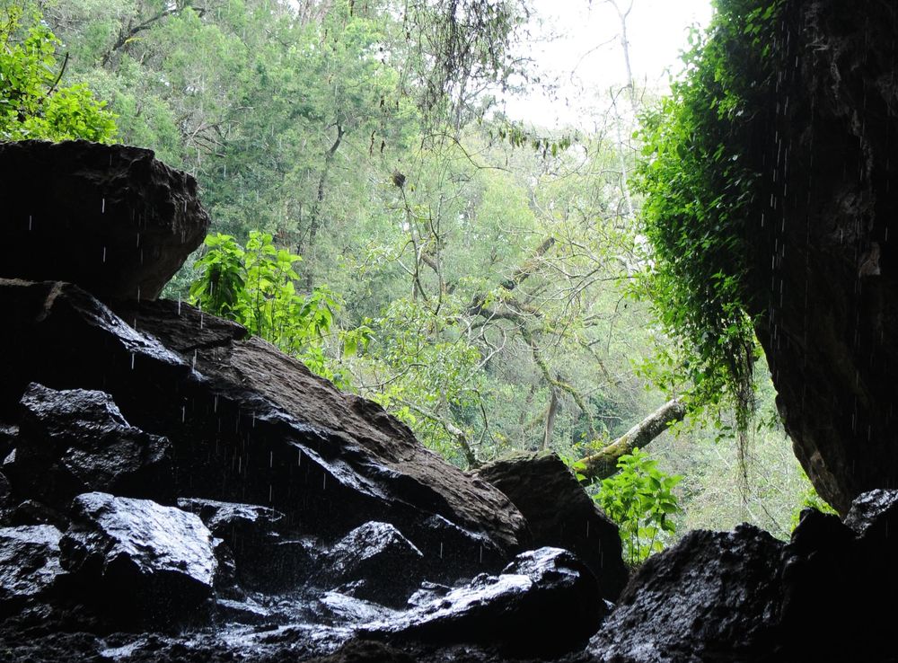 File:Kitum Cave Mount Elgon Kenya.jpg - Wikimedia Commons