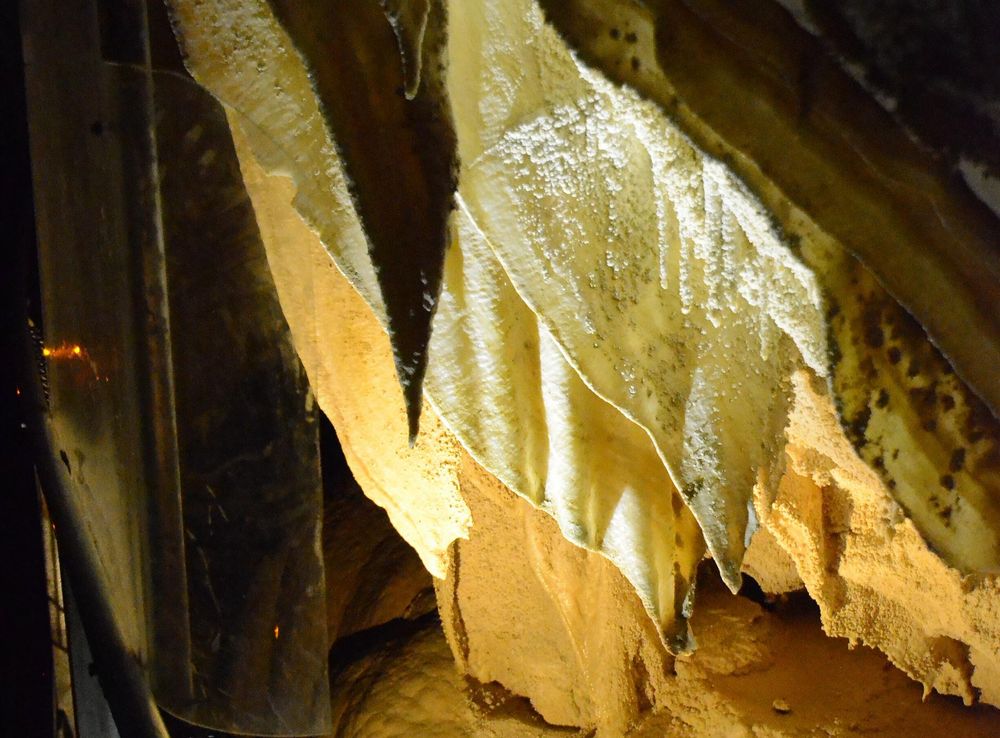 File:Limestone Rock Formations Inside the Ruakuri Cave, Waitomo, New  Zealand (50801235113).jpg - Wikimedia Commons