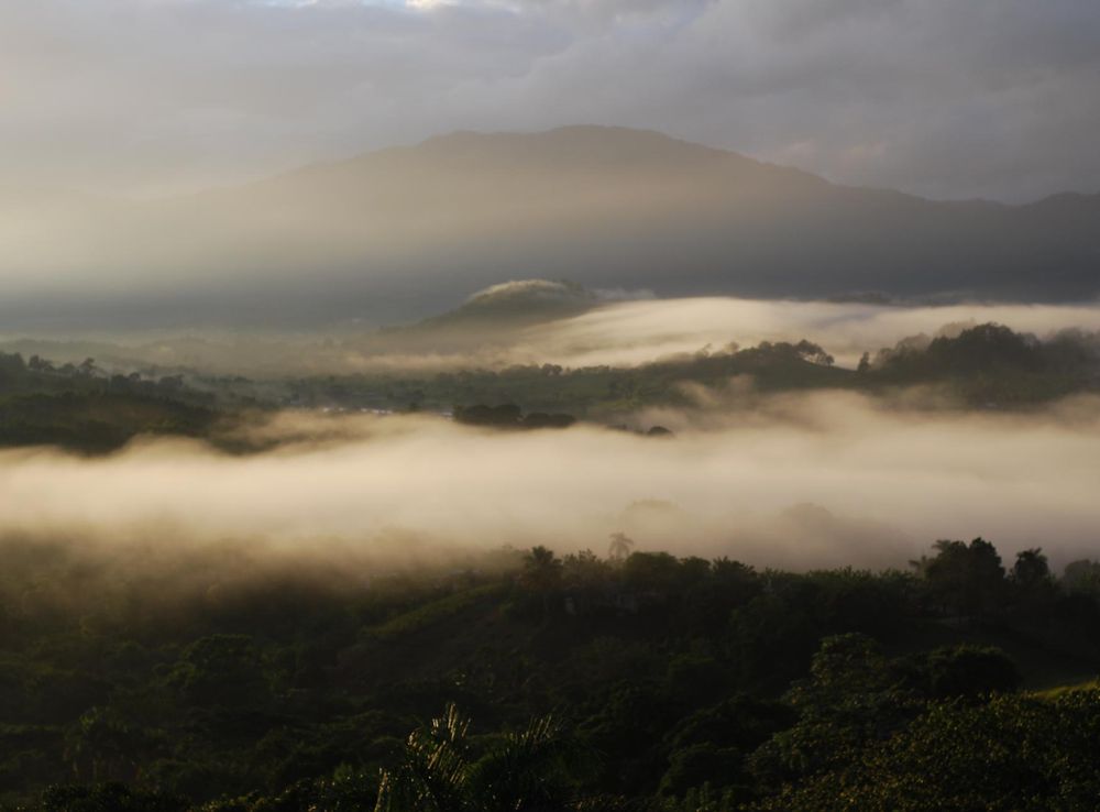 File:Foggy scenic view of Dominican Mountains, Cordillera Central.jpg -  Wikipedia