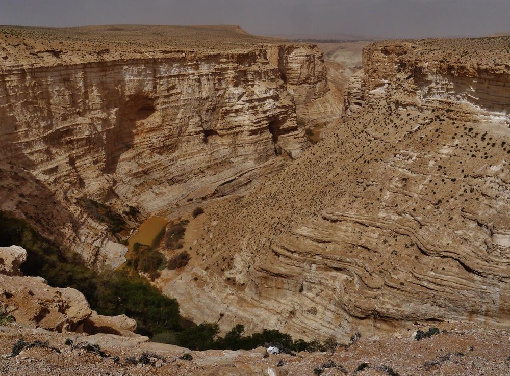 File:Avdat Schlucht Ein Avdat 14.JPG - Wikimedia Commons