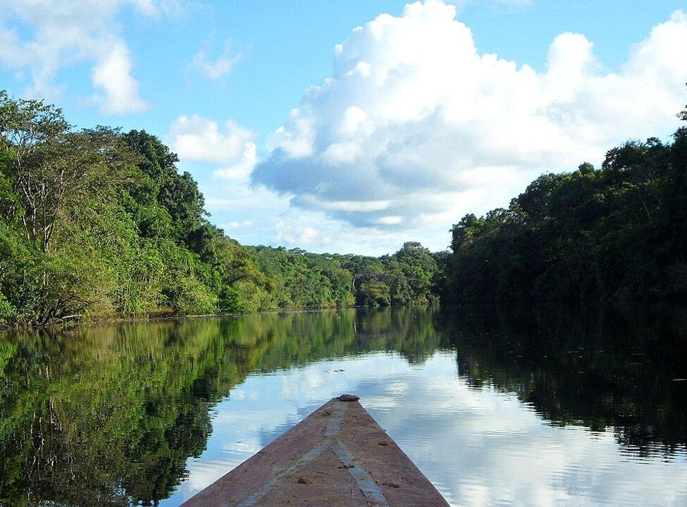 File:Pacaya Samiria Marañon River (66217327).jpeg - Wikimedia Commons