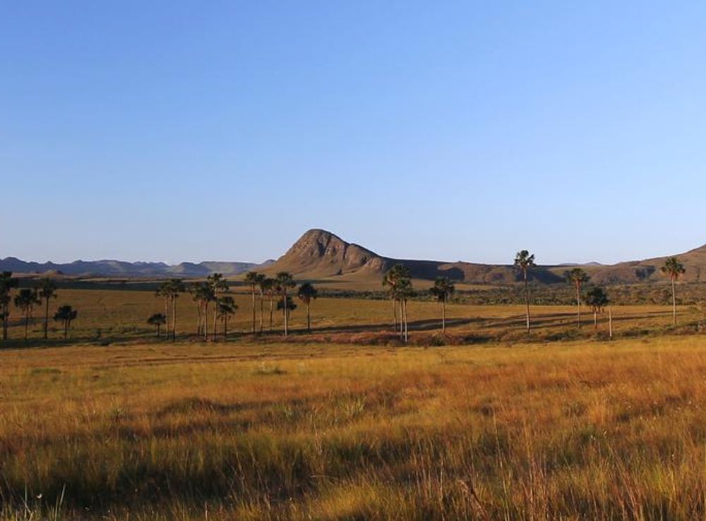 Ficheiro:Jardim de Maytrea, Chapada dos Veadeiros, Goiás, Brasil.JPG –  Wikipédia, a enciclopédia livre