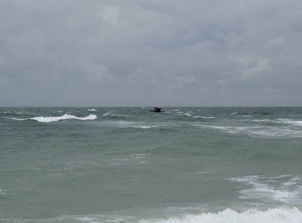 File:View from Low Beach, Nantucket MA.jpg - Wikimedia Commons