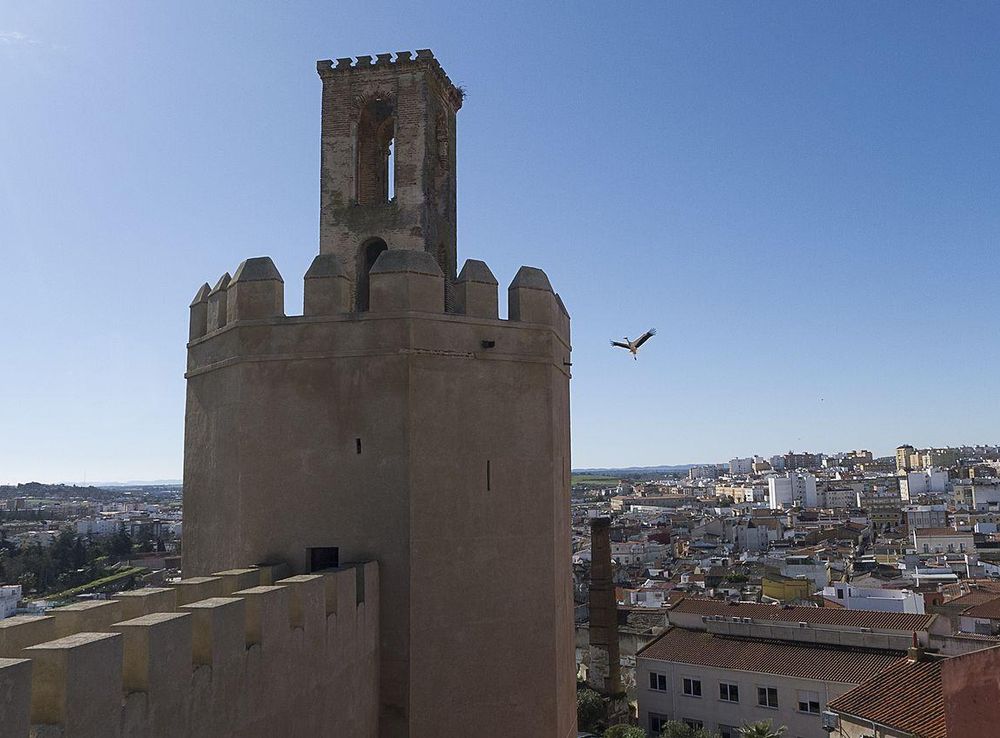 File:Spain-Badajoz-Alcazaba fortress-P1250213 (25867646406).jpg - Wikimedia  Commons