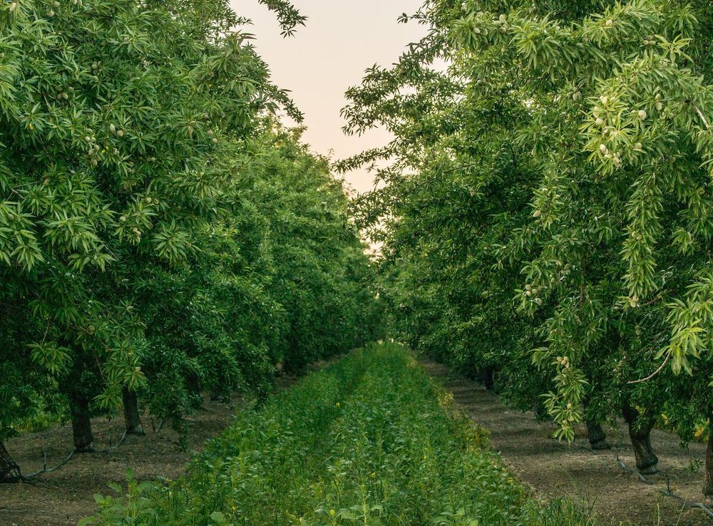 Management Actions | USDA Climate Hubs