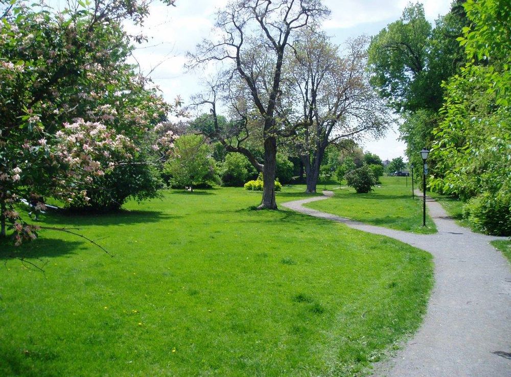 File:Central Park, Ottawa.jpg - Wikimedia Commons