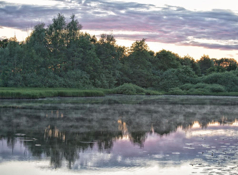 Free Images : landscape, tree, nature, marsh, wilderness, sky, sunset,  morning, shore, lake, view, river, summer, pond, evening, reflection,  natural, reservoir, silence, body of water, trees, clouds, waterlilies,  wetland, denmark, sol, sunbeams,