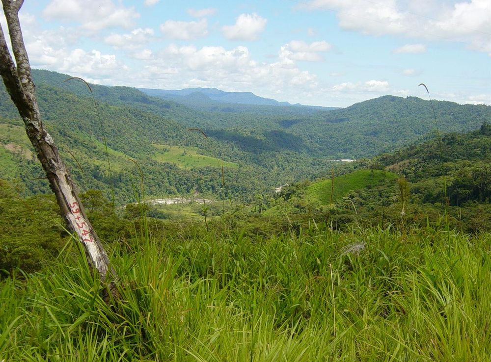 File:Ecuador SanguayNationalPark.JPG - Wikipedia