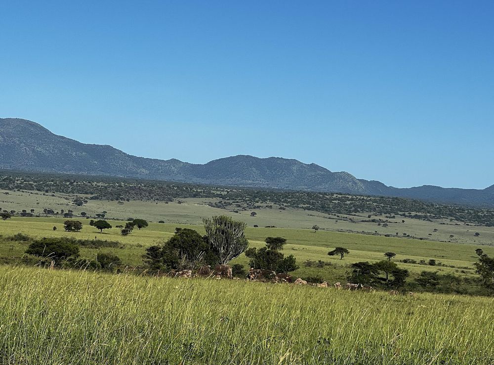 File:A landscape of Kidepo National Park in Uganda.jpg - Wikimedia Commons