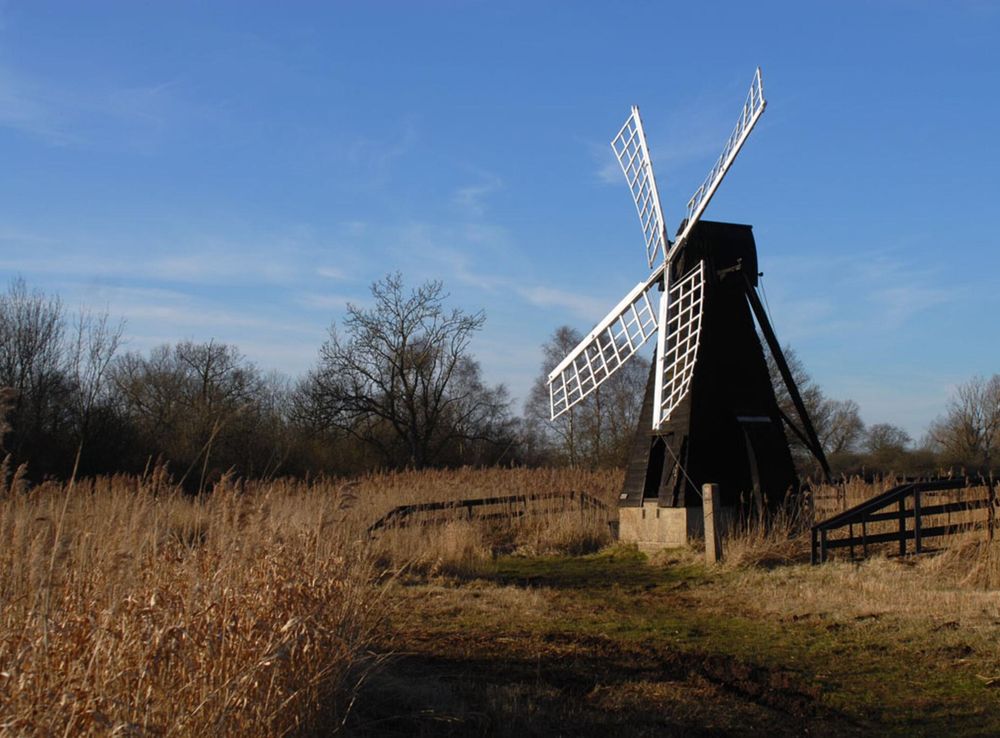 British Wildlife: Wicken Fen National Nature Reserve > Royal Air Force  Mildenhall > News