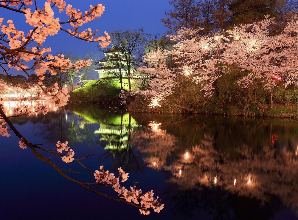 File:Takada Castle Cherry Blossom Festival.jpg - Wikipedia