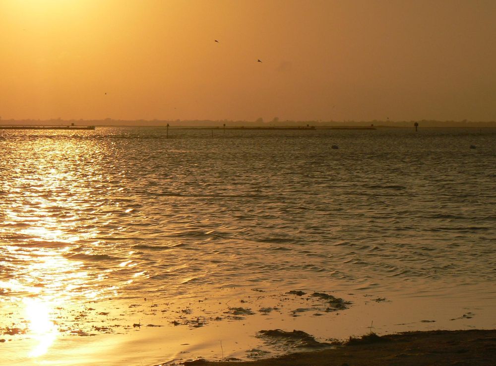 File:Laguna Madre.jpg - Wikimedia Commons