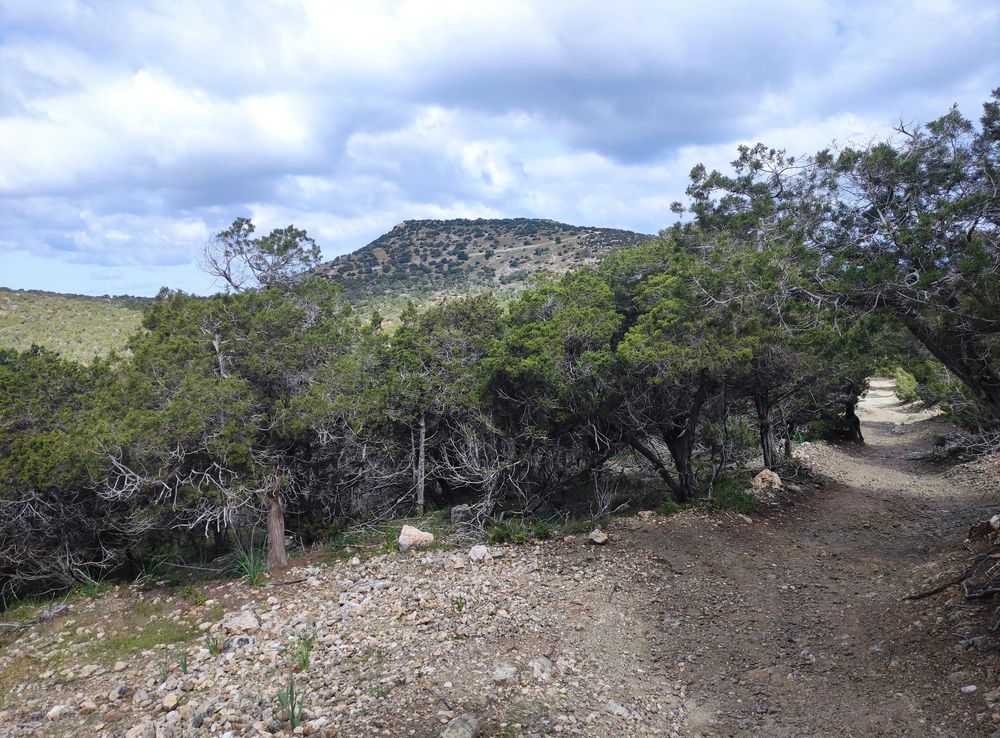 File:Adonis Nature Trail, Néo Chōrió, Phafis District, Cyprus.jpg -  Wikimedia Commons