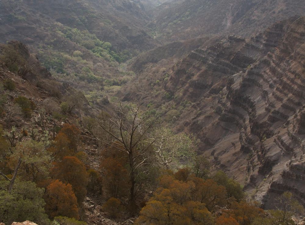 File:Goda Mountains - National Park of Forêt du Day.jpg - Wikipedia