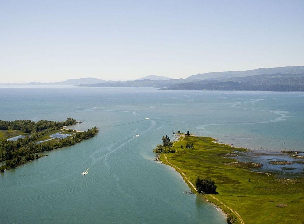 File:Flathead River, Flathead Lake.jpg - Wikimedia Commons