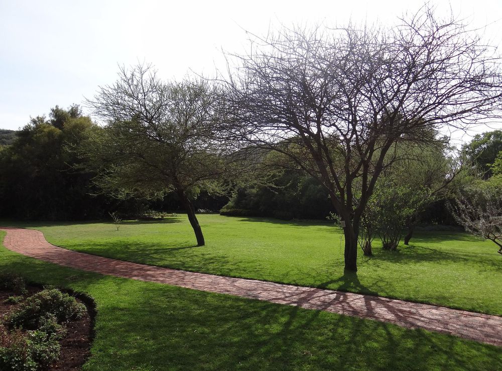 File:Free State National Botanical Garden - Bloemfontein.jpg - Wikimedia  Commons