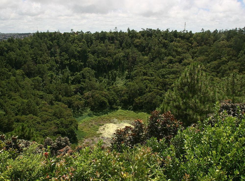 File:Trou aux Cerfs Volcano Mauritius.JPG - Wikimedia Commons