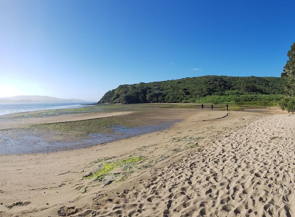 File:Pita Beach in Tomales Bay.jpg - Wikimedia Commons