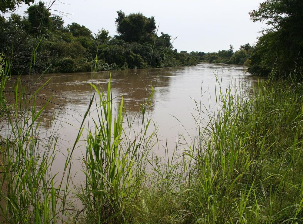 File:Mekrou river in W-National Park MS 6380.JPG - Wikipedia