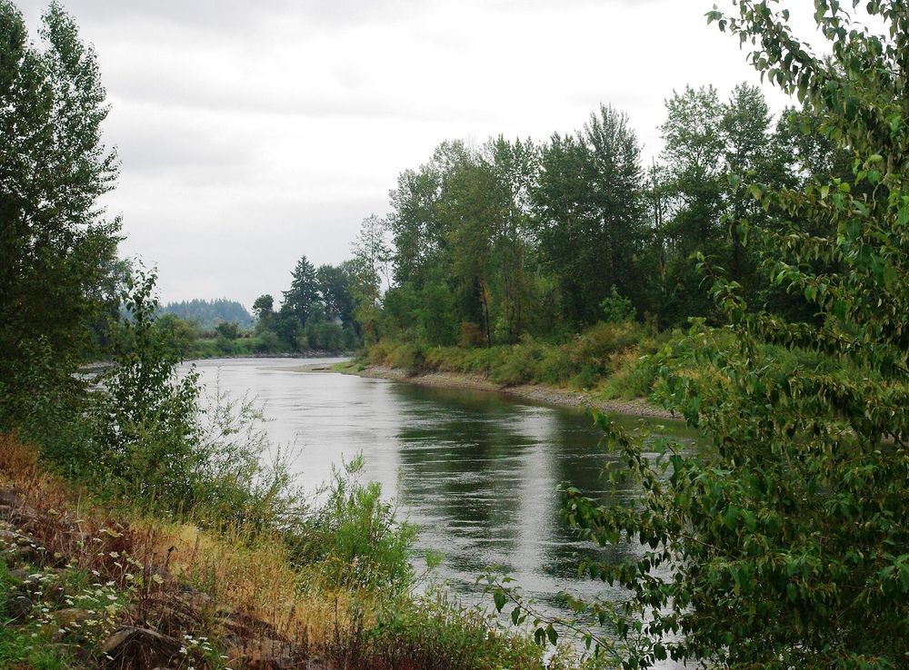 File:Santiam River near I-5.JPG - Wikimedia Commons