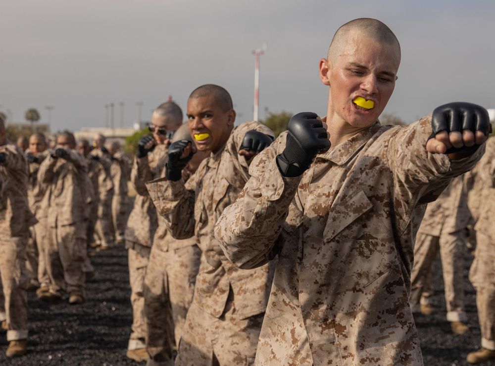 Delta Company History and Fundamentals of Marine Corps Martial Arts Program