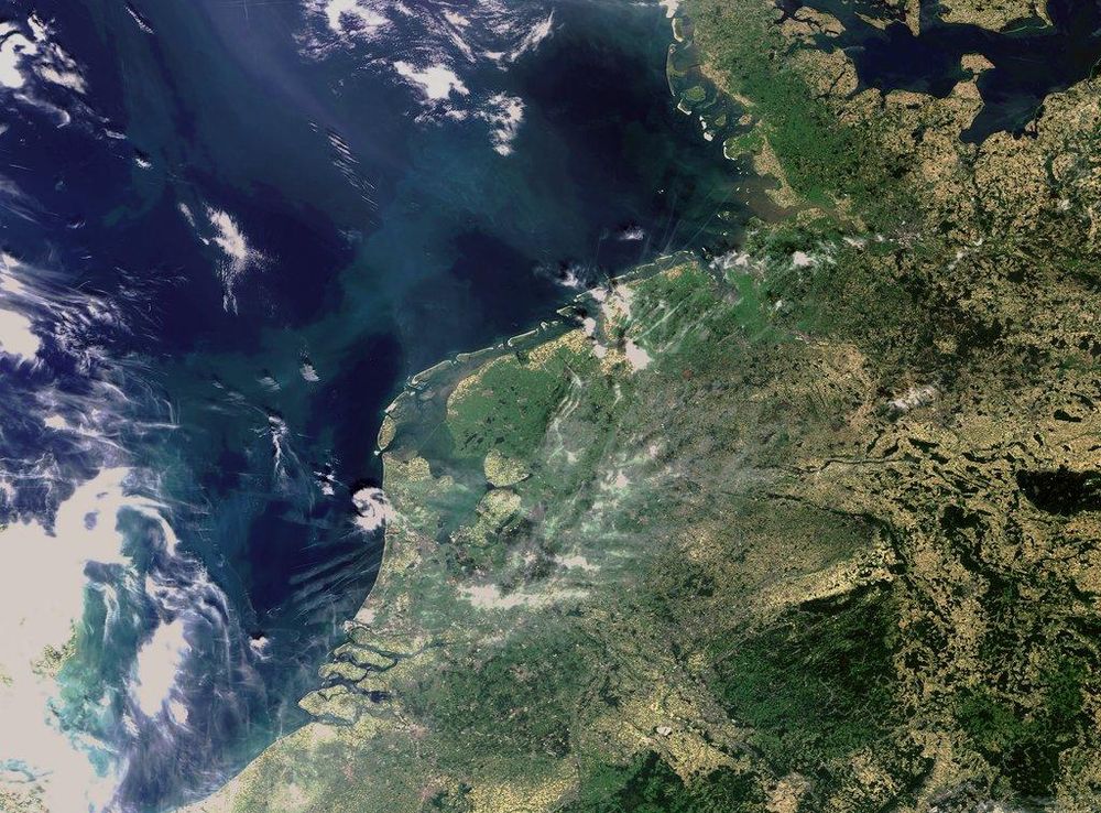 Vadehavet - Wikipedia, den frie encyklopædi