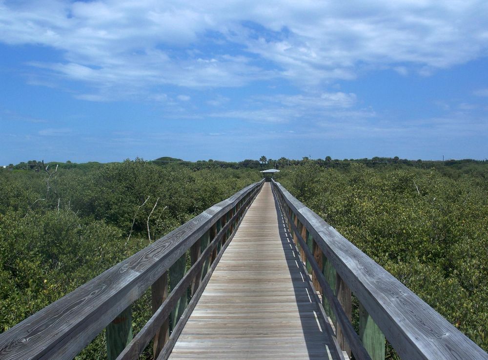 File:Ponce Inlet FL Preserve bdwk03.JPG - Wikimedia Commons