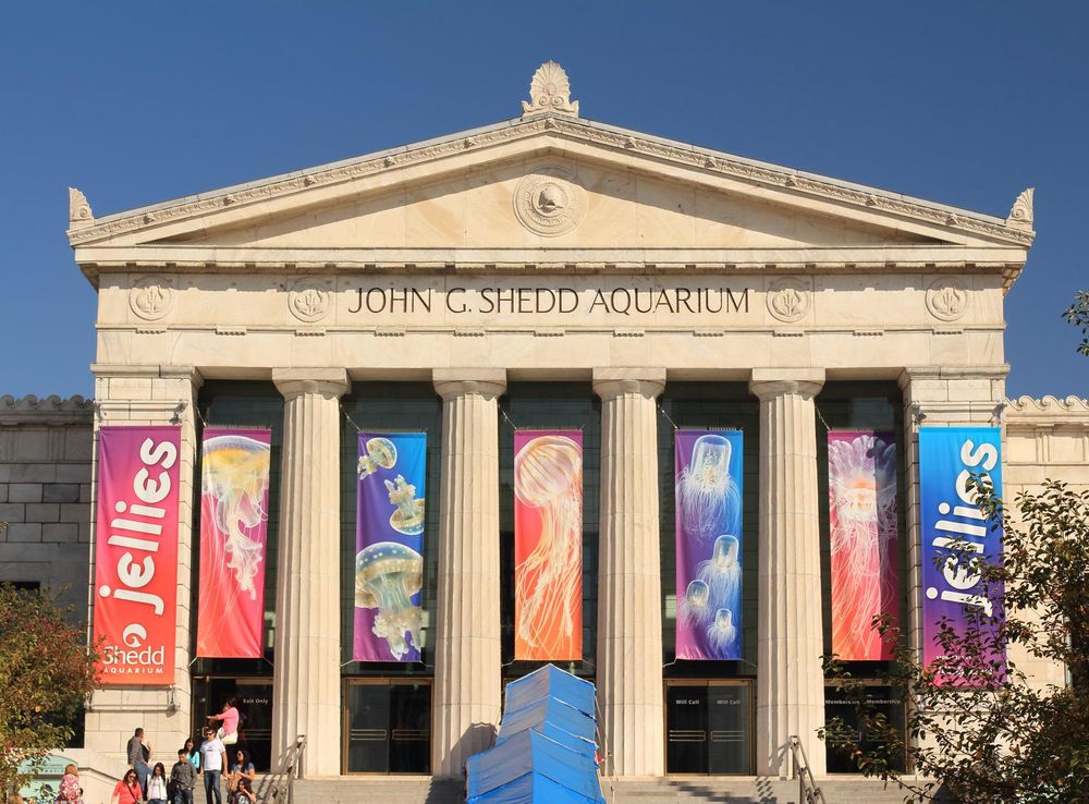 File:Shedd Aquarium Front 1.JPG - Wikimedia Commons