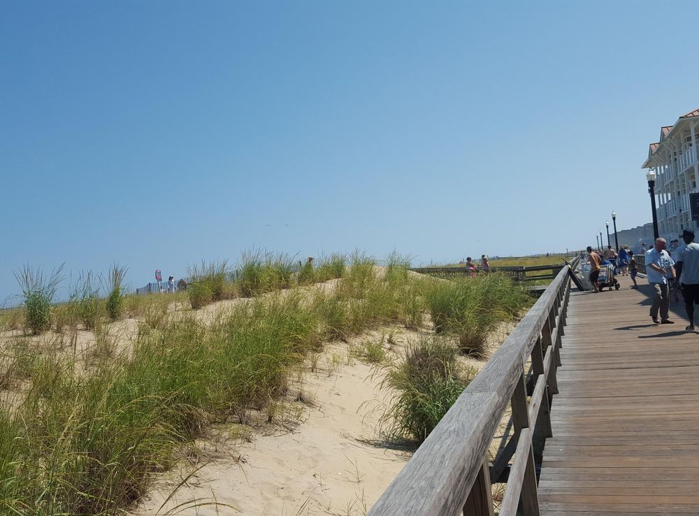File:Dunes and Boardwalk at Bethany Beach, Delaware.jpg - Wikimedia Commons