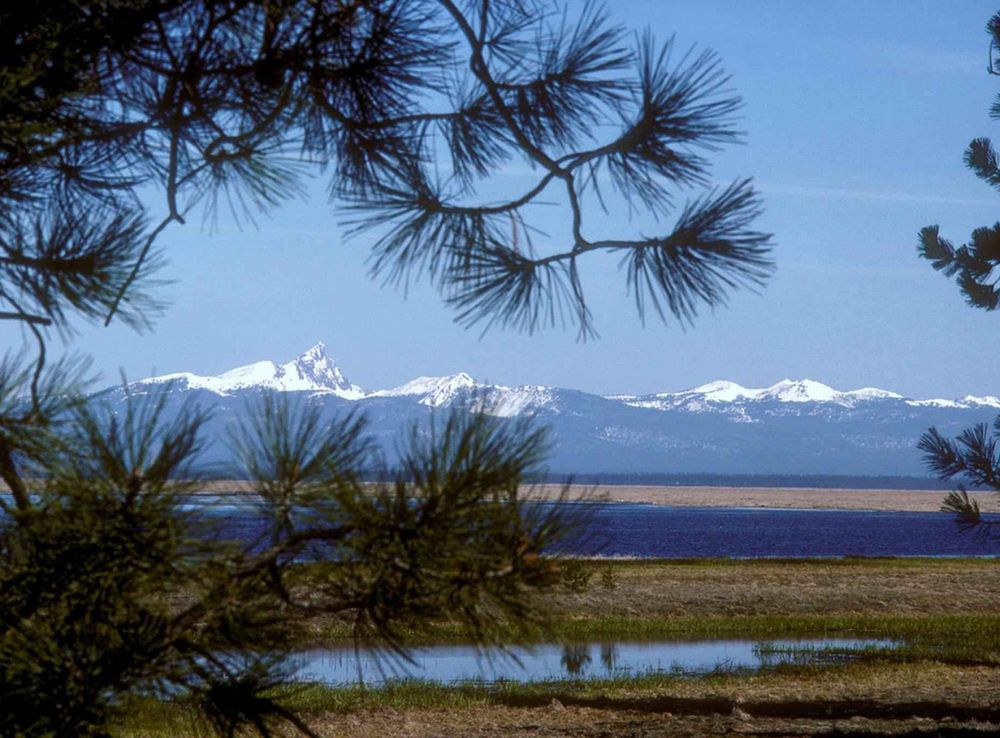 Free picture: scenic, Klamath, marsh, mount, Thielsen, background