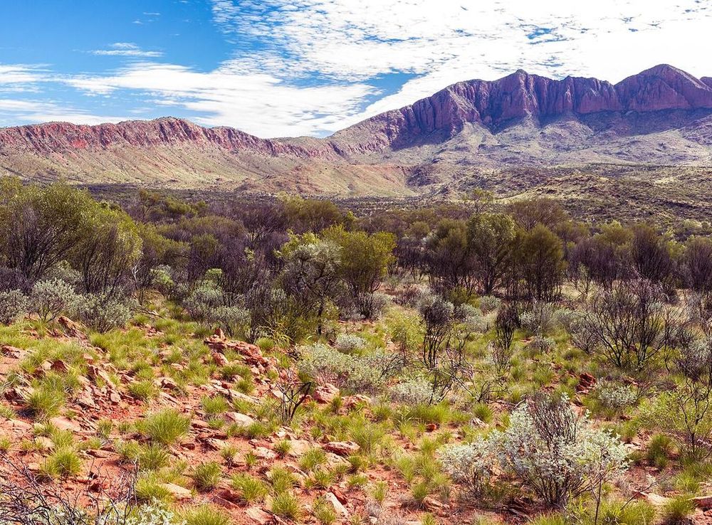 File:West Macdonnell Ranges, Mt Sonder.jpg - Wikimedia Commons