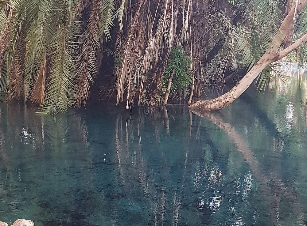 File:Kikuletwa hot spring 01.jpg - Wikimedia Commons