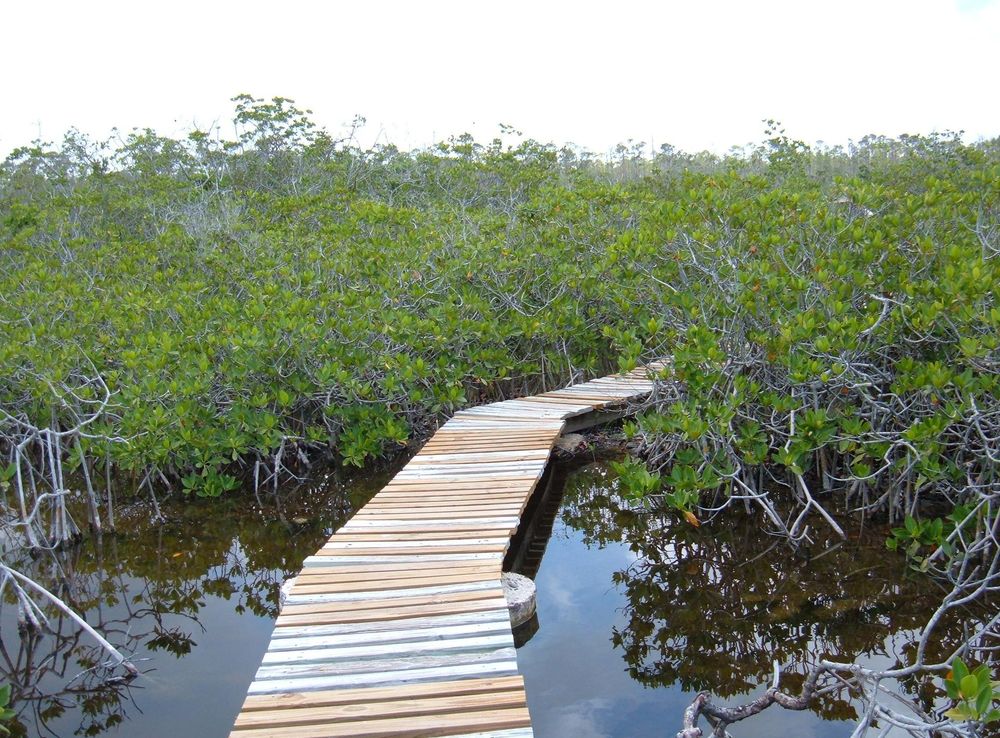 File:Lucayan National Park path to Gold Rock Beach 2.JPG - Wikimedia Commons