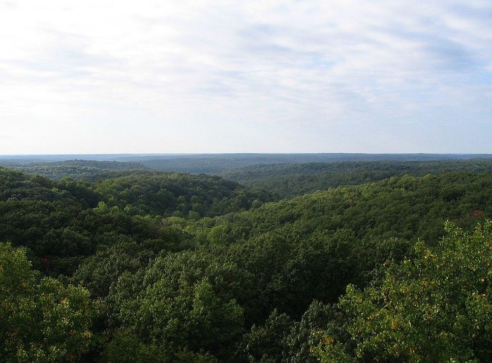 File:Hickory Ridge Fire Tower View 2 - panoramio.jpg - Wikimedia Commons