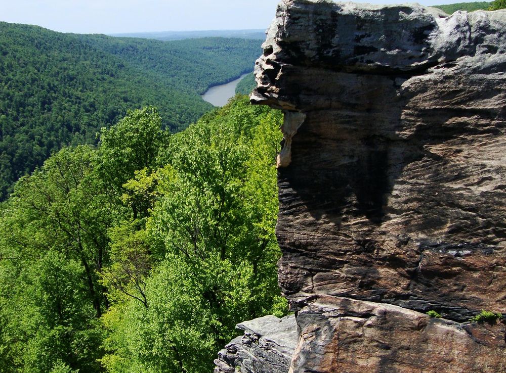 ملف:Cooper's Rock State Forest.JPG - ويكيبيديا