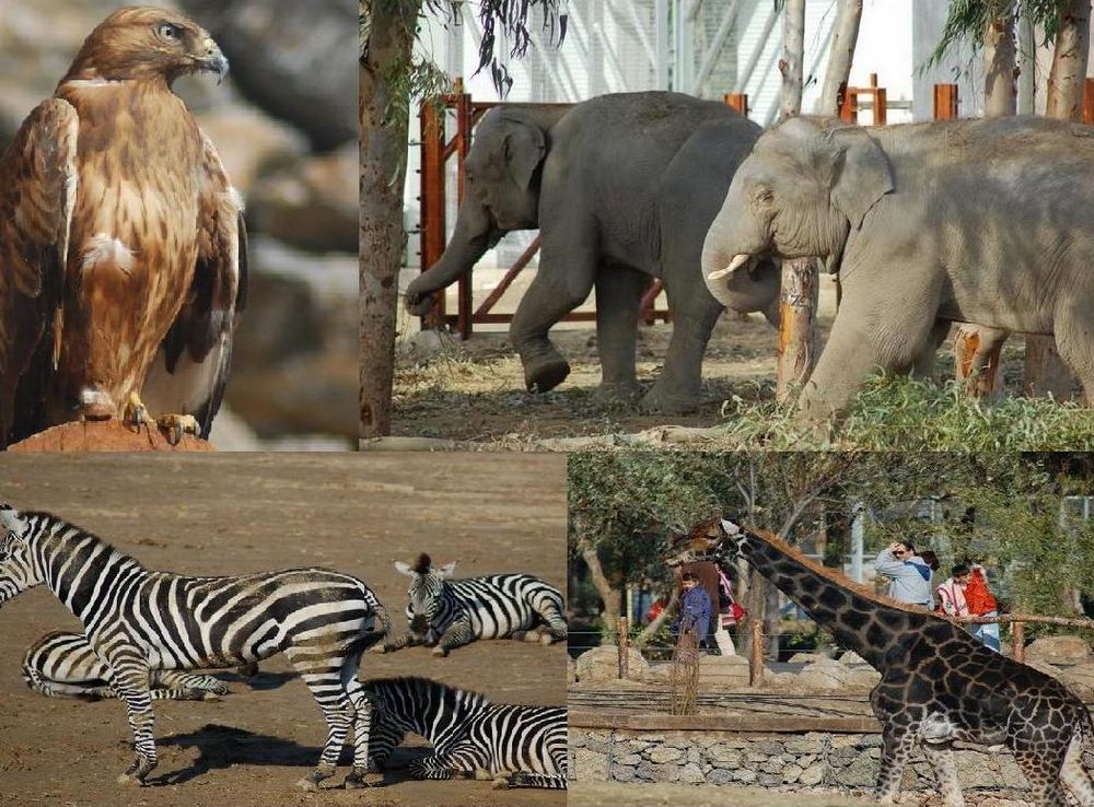 File:Sasali Natural Life Park Cigli Izmir Turkey.JPG - Wikimedia Commons