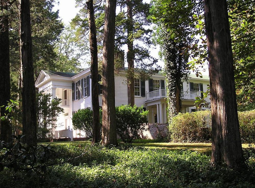 File:Rowan Oak.JPG - Wikipedia